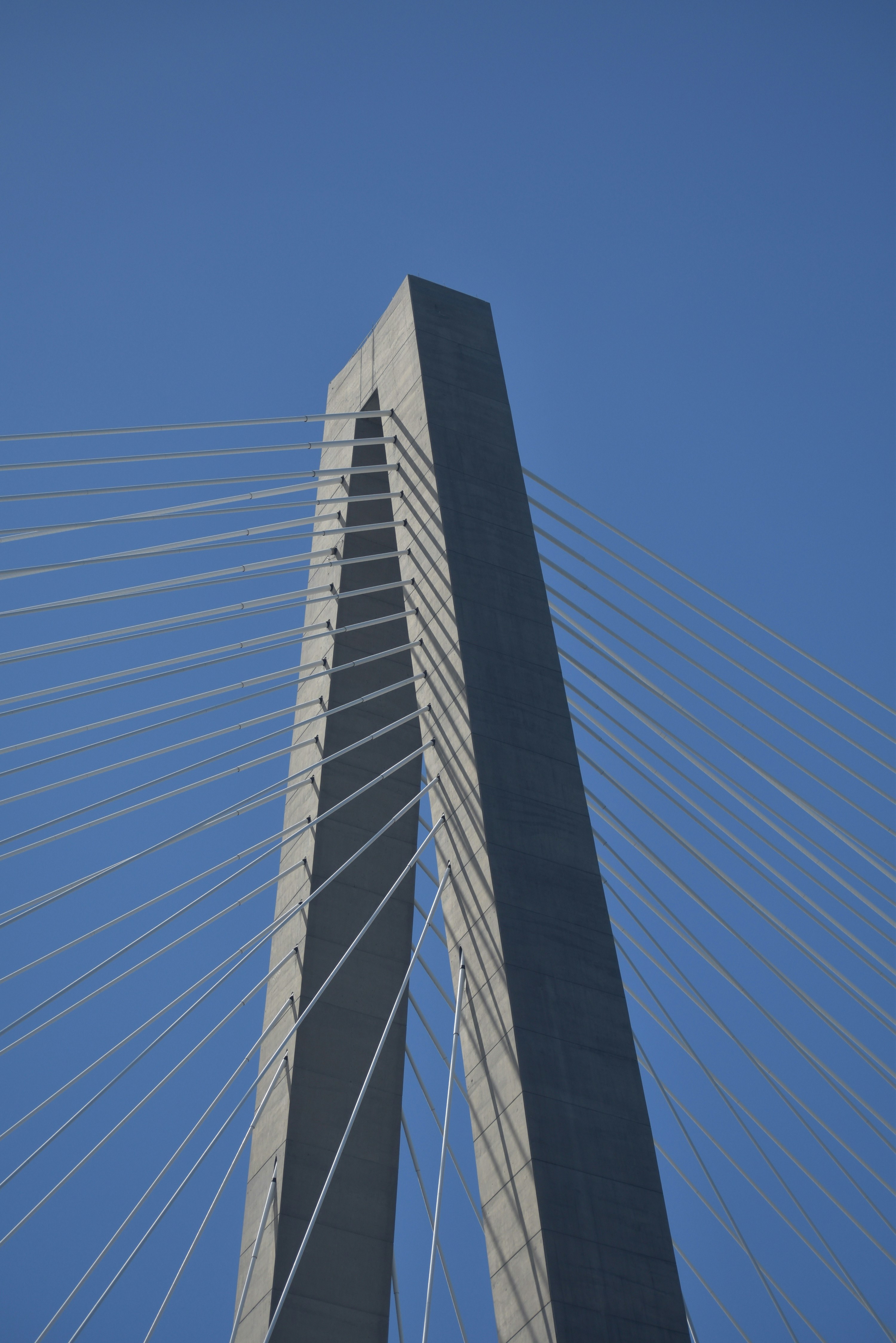 The gallery Zuo RK Qs Qb2 E unsplash